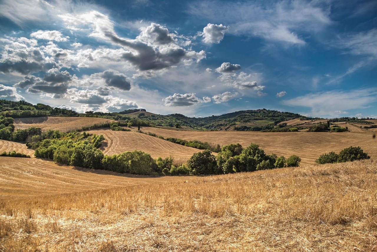 Campagna, cucina e silenzio