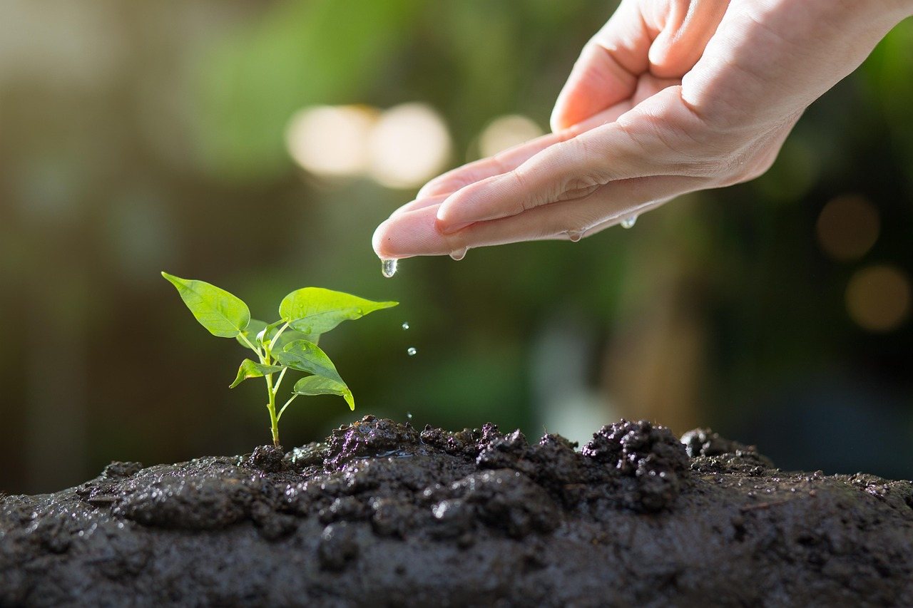 Il tuo giardino, sempre in ordine